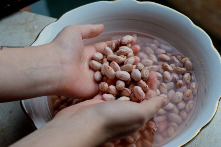 Dried borlotti beans