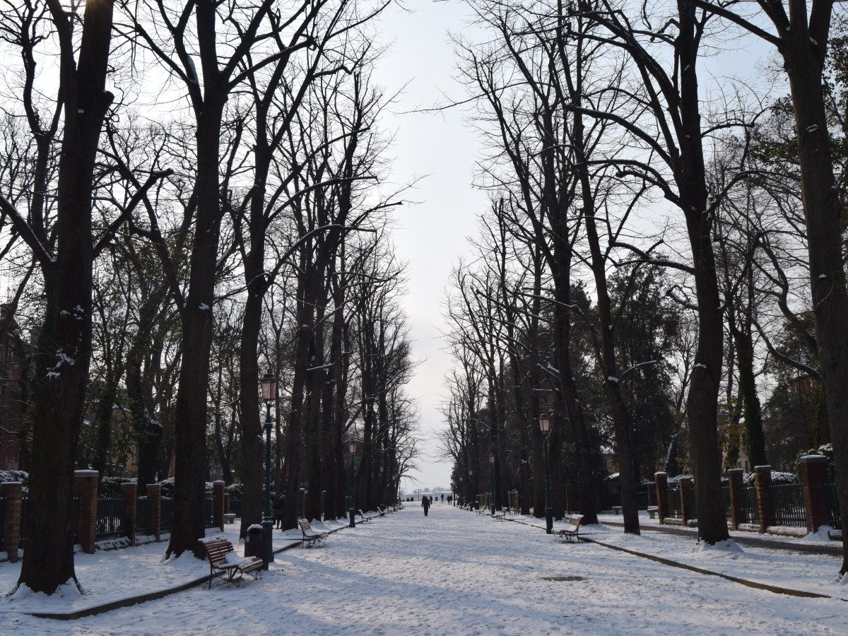 How to spend a snowy morning in&nbsp;Venice