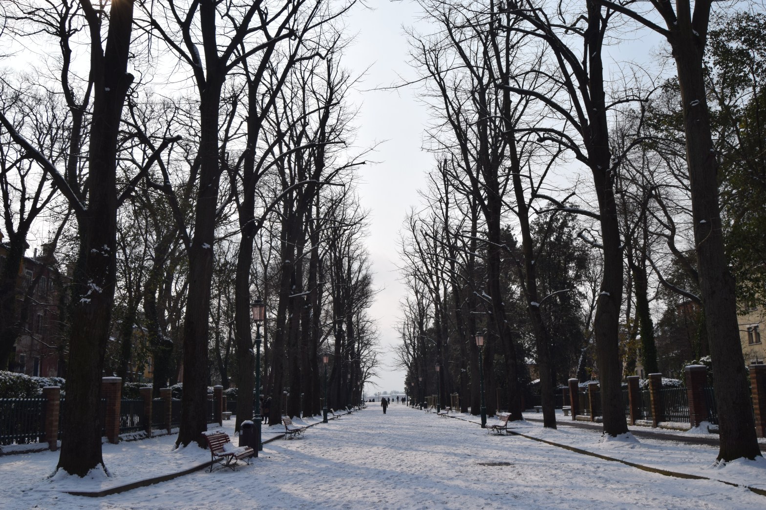 snow in the giardini venice