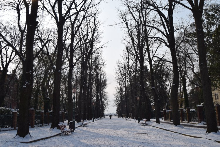 snow in the giardini venice